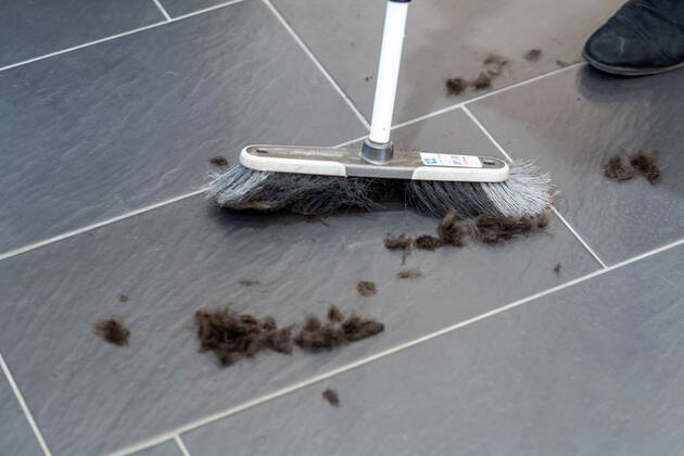 01 03 2021,Berlin,Germany,GER,From today hairdressers nationwide are allowed to open their shops again Photo Hair and a broom