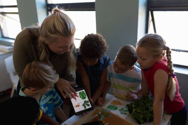 IMAGO Creative: Klimawandel - Umwelterziehung Female teacher looking at pictures of leaves on a tablet computer for a nature study lesson in an el High angle view of a Caucasian female elementary school teacher with long blonde hair and a diverse group of schoolchildren standing together looking at plants and pictures of leaves on a tablet computer and talking during a nature study lesson in an elementary school classroom, model released, , property released, Cape Town, South Africa, 01.12.2019, 1303795.jpg, people,people,real people,class,classmates,school,elementary school,primary school,classroom,education,lesson,student,pupil,studying,study,learn,learning,together,interacting,communication,information,knowledge,development,attention,teacher,teaching,working,job,career,occupation,p