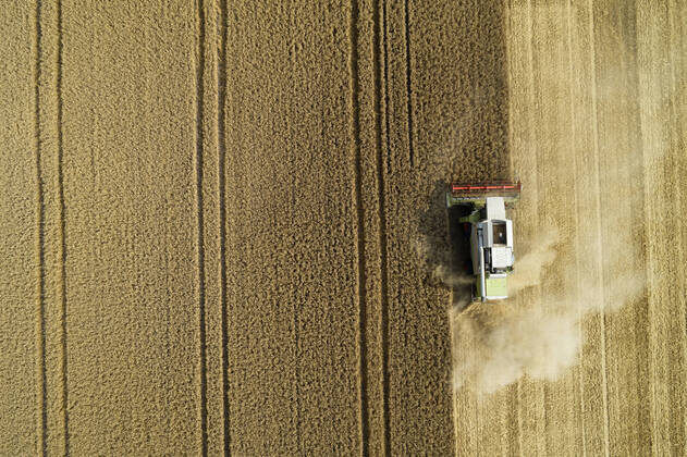 IMAGO Creative: Ende des Sommers Drone view of combine harvester collecting grain in summer RUEF03249