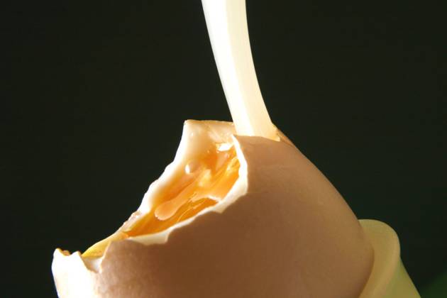 soft boiled breakfast egg with an egg spoon in an egg cup BLWS641030 Copyright: xblickwinkel McPHOTO A.xSchauhuberx