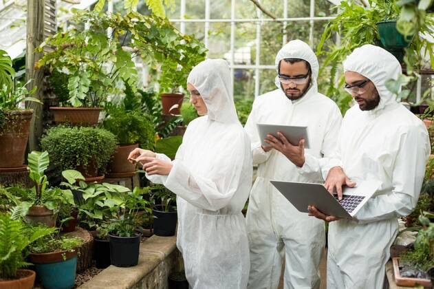 IMAGO Creative: Business, Innovative Technologie-Lösungen Scientists using technologies while examining plants Scientists in clean suit using technologies while examining plants at greenhouse, model released, , property released, Cape Town, South Africa, 11.05.2016, 772514.jpg, research, holding, agriculture, botany, greenhouse, nature, environment, occupation, professional, standing, study, analysis, biologist, biology, science, scientist, working, protective eyewear, safety, protection, botanical, horticulture, agronomy, profession, coworkers, colleagues, teamwork, together, clean suit, using, laptop, notebook, technology, computer, wireless, connection, communication, tablet computer, digital tablet, tablet pc, examining, cellphone Indoors,Front view,Focus on Foreground,Day,Three Quarter Lengt