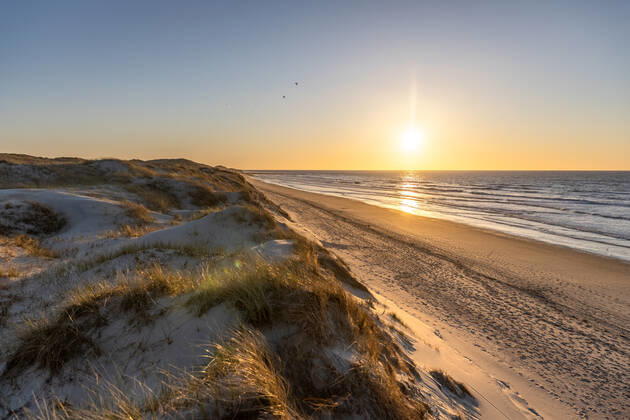 Norderney 25 APR 2021 Sunset in the dunes at the lido Weiße Düne on Norderney Quiet spring evening at the North Sea EAST Frisia East Frisian Islands Copyright: JanisMEYER Priller&MAUG JMY7F2567X