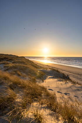 Norderney 25 APR 2021 Sunset in the dunes at the lido Weiße Düne on Norderney Quiet spring evening at the North Sea EAST Frisia East Frisian Islands Copyright: JanisMEYER Priller&MAUG JMY7F2543X