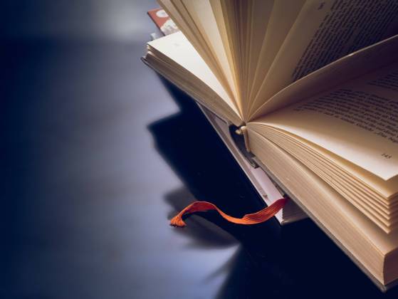 Opened and fanned book in front of dark background with text free space 1028901438