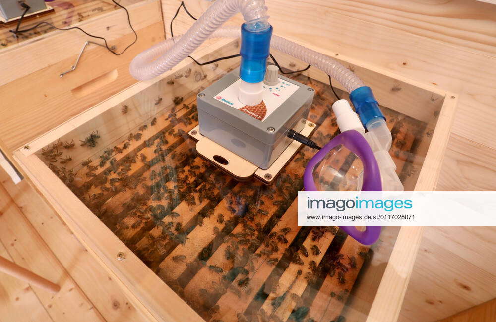 Apitherapy Injectable PXL_Apitherapy Inhalation device with beehive air at an apitherapy ...