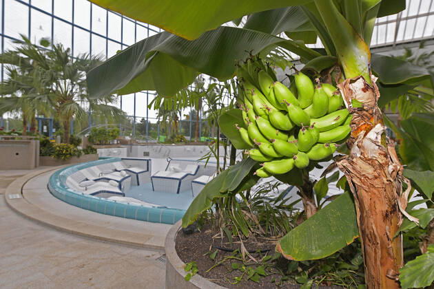 18 05 2021, Bad Wörishofen, 300 days in Corona Lockdown, the spa in Bad Wörishofen uses the time without guests to realize e