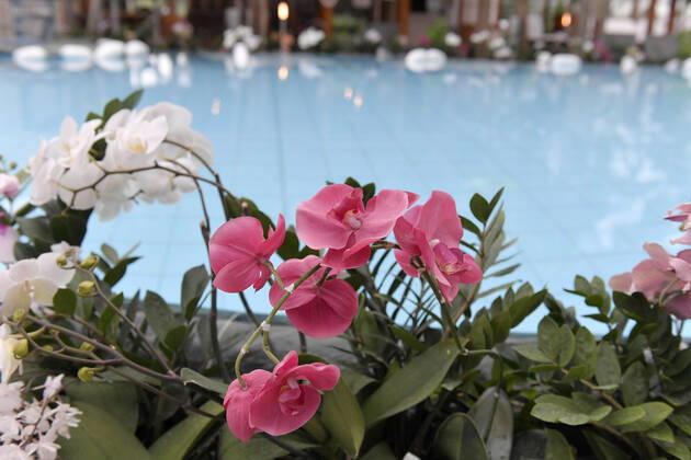 18 05 2021, Bad Wörishofen, 300 days in the Corona Lockdown, the thermal bath in Bad Wörishofen uses the time without guests around extensive renovations and new buildings to realize managing direc