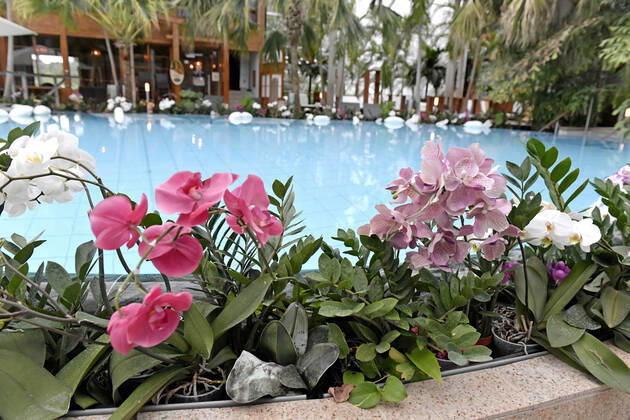 18 05 2021, Bad Wörishofen, 300 days in the Corona Lockdown, the thermal bath in Bad Wörishofen uses the time without guests around extensive renovations and new buildings to realize managing dire