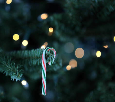Traditional artificial Christmas tree with candy cane and white lights glowing in background Copyright: xTomxBakerx 28903594