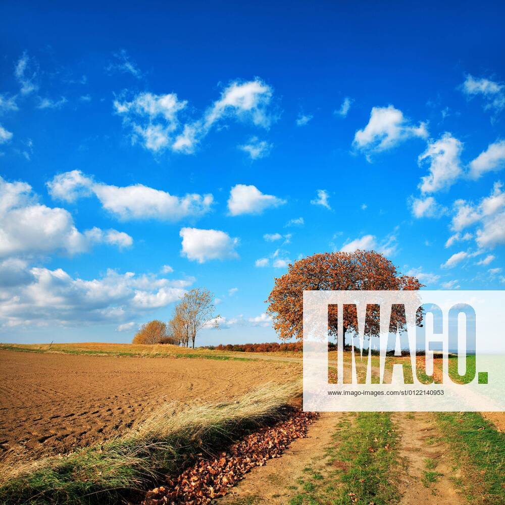 Field path through cultural landscape in autumn, harvested field ...