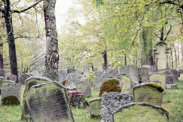 Tag des Friedhofs am 19. September Judenfriedhof Kleinbardorf in Unterfranken 1046805152