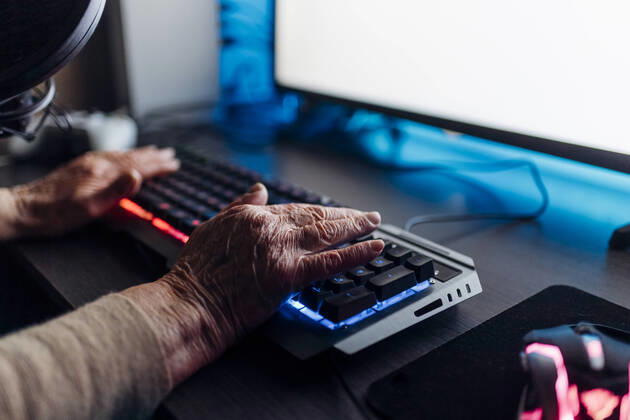 Senior woman using computer at home model released Symbolfoto property released MEUF03183