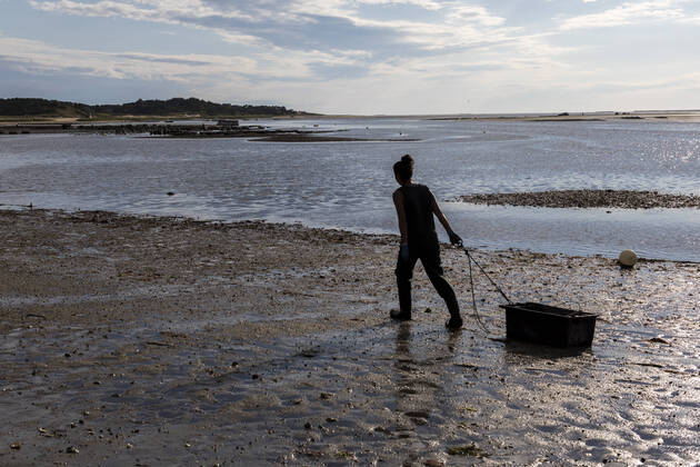IMAGO Creative: Nächste Generation, Sozial- und klimabewusst Female oyster picker dragging crate along beach in Wellfleet, MA Wellfleet, MA, United States CR_JUCU210212A-602084-01 ,model released, Symbolfoto