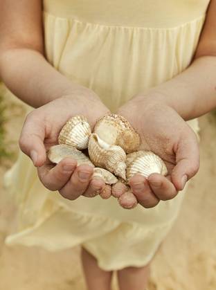 Girl with hands cupped holding seashells at beach model released Symbolfoto AJOF01586