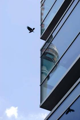 IMAGO Creative: Architektur in Berlin  mirrored tv tower, 18.08.2016 22:38:29, Copyright: xgintonx Panthermedia18269036