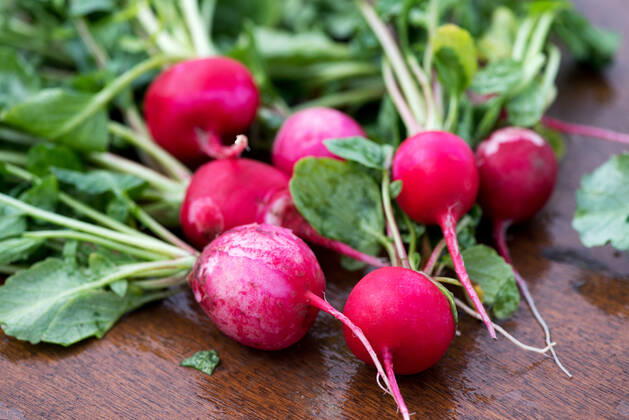 radish,radishs 3ro-fs8