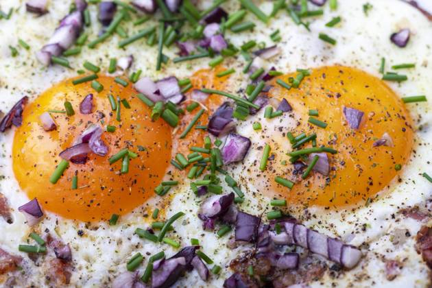 fried egg,fried eggs jb1-m9y