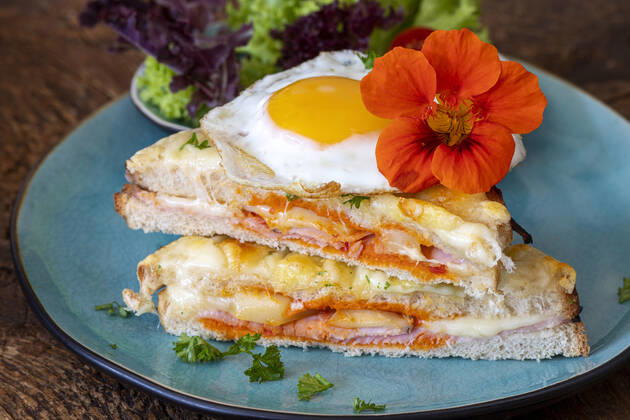 sandwich,ham sandwich,sandwichs jb1-mko