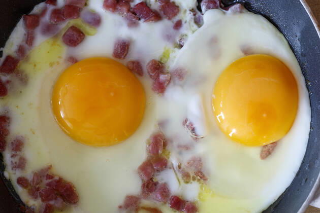 fried egg,fried eggs jb1-n31