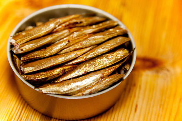 sprat,sprats,riga sprouts kuo-fv2