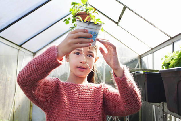 IMAGO Creative: Klimawandel - Umwelterziehung Girl holding plant pot, looking at roots, 18.11.2013, Copyright: xFrankxVanxDelftx, model released, wearing,gardening,holding,looking,touching,pink,front view,head and shoulders,portrait,botany,childhood,curiosity,discovery,achievement,awe,care,development,growth,nurturing,success,pride,nature,plant,root,flower pot,child,asian ethnicity,female,girl,only one girl,one person,greenhouse,indoors,day,sweater,environmental issue,science,6 to 7 years,knitwear,tending,November 2013 Release,Touching,Holding,Asian Ethnicity,Child,Elementary Age,6-7 Years,Female,Girls,Girl,Achievement,Success,Amazement,Awe,Care,Nurturing,Childhood,Curiosity,Development,Disciplines,Natural Science,Life Science,Biology,Botany,Growth,Pride,Pink,One Person,Head And Sho Ref:IS09AE0FB