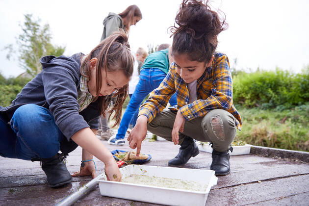 environmental pedagogy mmq-zw6 ,model released, Symbolfoto