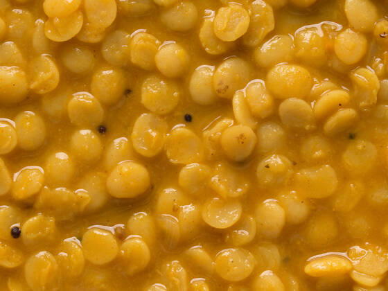 lentil,dhal,lentils,dhals mpd-i19