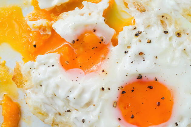 fried egg,fried eggs mpd-kk9