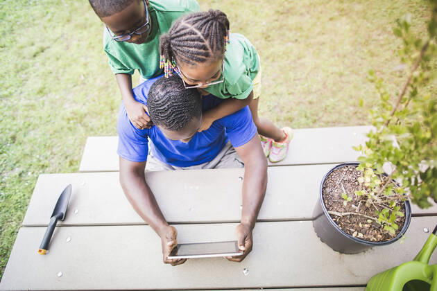 IMAGO Creative: Klimawandel - Umwelterziehung High angle view of father looking at digital tablet with daughter and son at eco camp, 01.09.2014, Copyright: xChadxSpringerx, model released, wearing,learning,holding,camping,looking down,copy space,high angle view,waist up,childhood,connections,responsibility,bonding,convenience,harmony,innocence,nurturing,sharing,togetherness,unity,well being,affection,friendship,happiness,nature,25 to 29 years,child,african american ethnicity,female,girl,male,boy,man,young man,three people,outdoors,rural,summer,day,casual clothing,eyeglasses,t-shirt,communication,education,environmental issue,environmental conservation,arm around,daughter,son,father,single parent,sibling,brother,sister,technology,digital tablet,lifestyle,leisure,5 to 6 years,family l Ref:IS09AK90F
