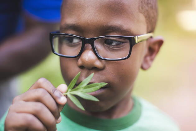 IMAGO Creative: Klimawandel - Umwelterziehung Boy smelling plant in parkland eco camp, 01.09.2014, Copyright: xChadxSpringerx, model released, wearing,learning,holding,camping,smelling,looking up,green color,close-up,differential focus,front view,head and shoulders,aroma,childhood,curiosity,discovery,responsibility,harmony,innocence,nurturing,sharing,togetherness,unity,well being,nature,plant,25 to 29 years,child,african american ethnicity,male,boy,man,young man,two people,outdoors,rural,forest,summer,day,casual clothing,eyeglasses,t-shirt,education,environmental issue,environmental conservation,son,father,single parent,lifestyle,leisure,family life,family with one child,6 to 7 years,only male,male bonding,holding up,September 2014 Release,Thinking,Learning,Holding,Smelling ,Looking Ref:IS09AK913