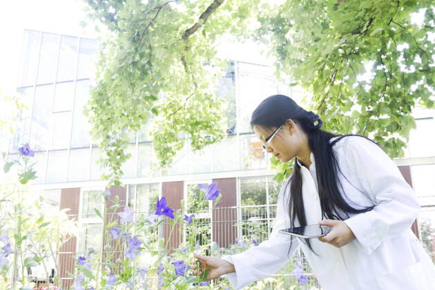 IMAGO Creative: Klimawandel - Zukunft und Innovation Young female scientist with digital tablet outside laboratory selecting specimen plants, 20.07.2015, Copyright: xSigridxGombertx, model released, choosing,wearing,picking,looking,testing,working,concentration,connections,control,precision,accuracy,cultivation,growth,innovation,plant,flower,25 to 29 years,korean ethnicity,female,woman,young woman,only one young woman,one person,lab technician,scientist,laboratory,outdoors,day,eyeglasses,lab coat,protective clothing,communication,experiment,technology,digital tablet,medicine,science,biology,biochemistry,advancement,building exterior,monitoring,portability,wifi,biotechnology,only female,health-and-safety,specimen,research and development,healthcare,using digital tablet,update,July 2015 Rele Ref:IS09AS6X0