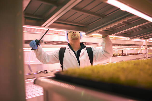 IMAGO Creative: Klimawandel - Zukunft und Innovation Male worker reaching to spray micro greens in underground tunnel nursery, London, UK, 13.05.2016, Copyright: xPeterxMullerx, model released, , property released, wearing,watering,reaching,spraying,using,working,pink,differential focus,head and shoulders,small business,abundance,concentration,control,cultivation,growth,healthy eating,hygiene,innovation,nurturing,skill,nature,fresh,tray,shelf,30 to 34 years,hispanic ethnicity,male,man,mid adult man,only one mid adult man,one person,tunnel,indoors,united kingdom,london,hair net,lab coat,protective clothing,environmental issue,food,leafy vegetable,salad,industry,fluorescent light,food industry,worker,tube,only male,plant nursery,tending,micro greens,underground,crop,nitrile glove,led lightbul Ref:IS09AX9YN