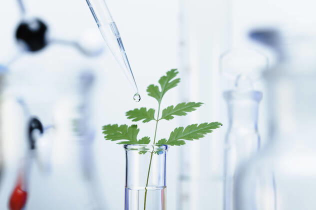 IMAGO Creative: Klimawandel - Zukunft und Innovation Biotechnology research. A precision micropipette is used to transfer a small amount of liquid to a test tube with a green leaf. Out-of-focus laboratory glassware, 23.06.2016, Copyright: xGIPhotoStockx research,green color,white color,close-up,differential focus,studio shot,concepts,discovery,precision,preparation,accuracy,growth,innovation,nature,plant,leaf,chemical,transparent,scientific equipment,pipette,test tube,indoors,laboratory,experiment,liquid,droplet,nobody,science,chemistry,biotechnology,glassware,research and development,micropipette,shallow focus,pipetting,transfer,July 2016 Release,Accuracy,Curiosity,Disciplines,Natural Science,Physical Science,Chemistry,Growth,Innovation,Precision,Preparation,Research,Biotechnology,No Peop Ref:IS09AZ5N4