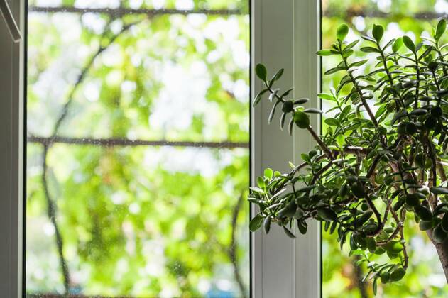  window of country house in summer, 12.10.2020, Copyright: xvvoennyyx Panthermedia22736555