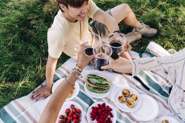 Friends toasting drinks while sitting on picnic blanket model released Symbolfoto ASGF01397