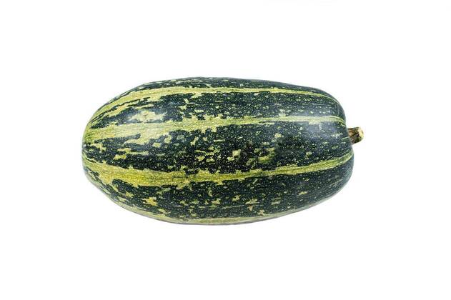  A single green striped spaghetti pumpkin isolated on white background, 13.10.2020, Copyright: xmasterpicx Panthermedia27053269