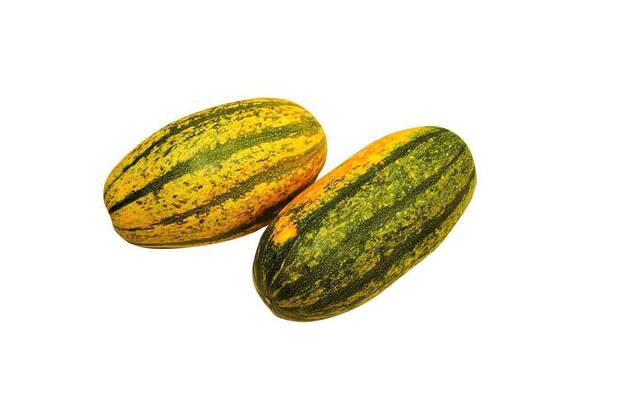  Two big spaghetti squash isolated on white background, 13.10.2020, Copyright: xSiegix Panthermedia27483698