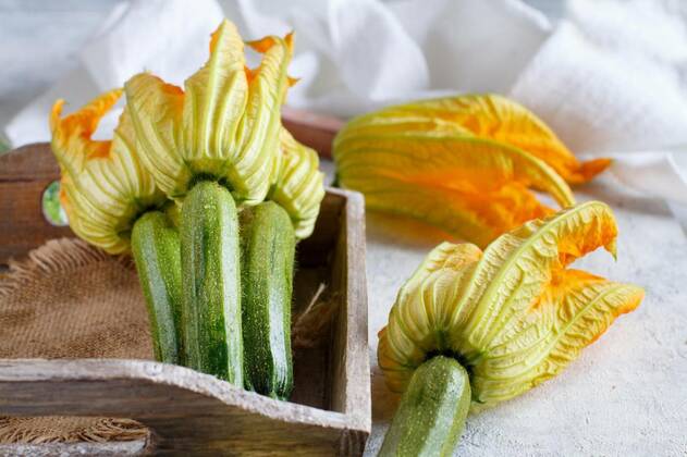 IMAGO Creative, Food, Zucchiniblüten Young Zucchini With Flowers, 14.10.2020, Copyright: xkatrinshinex Panthermedia27959145