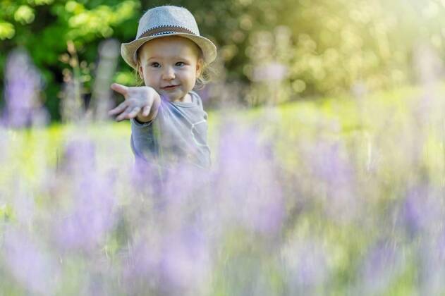  Cute little baby boy with hat is posing behind lavender model released, Symbolfoto, 25.10.2021, Copyright: xfrank11x Panthermedia28684009