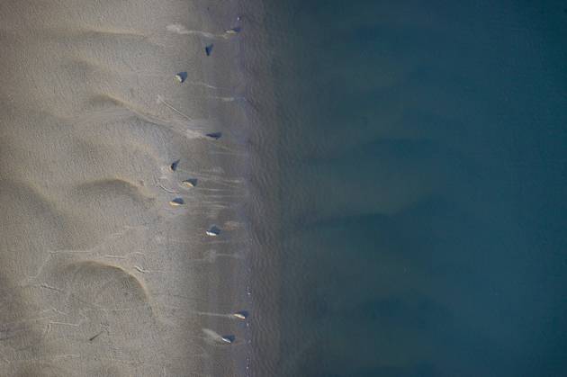 Elbe estuary from the air, Germany, Hamburg Wadden Sea National Park aerial view of the Elbe estuary, Germany, Hamburg Wadden Sea National Park BLWS658602 Copyright: xblickwinkel C.xKaiserx