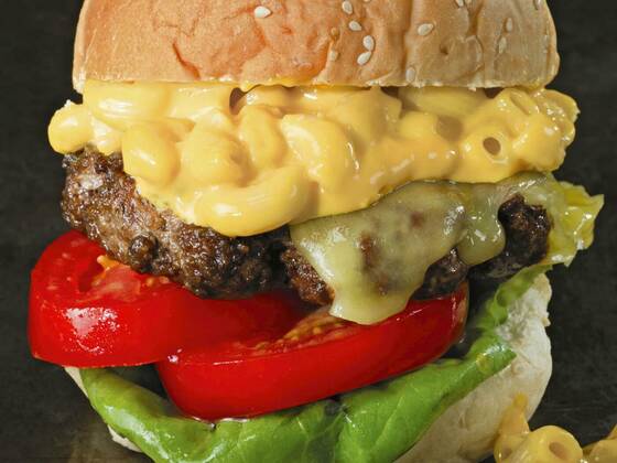  rustic american mac and cheese hamburger, 25.09.2021, Copyright: xzkrugerx Panthermedia23456771