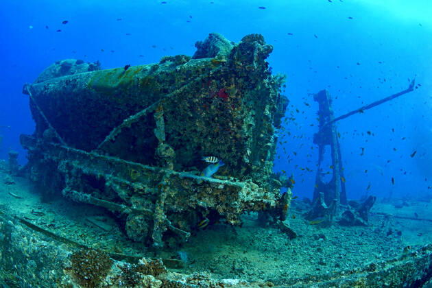 Old damaged sunken ship and on sandy bottom of blue Red Sea with reef fish ArturoVigil_RedSea_75.jpg Copyright: xArturoxVigilx Model Released