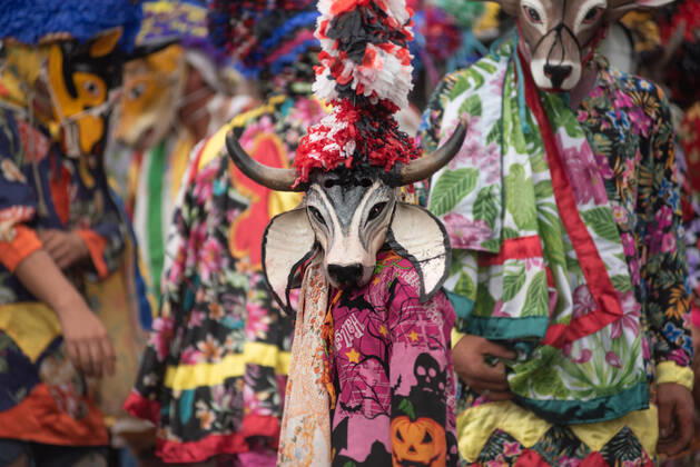 February 28, 2022: Residents of the town of Alto Tio Diego celebrate the traditional Afro-Mexican carnival. In this carnival, the residents usually wear wooden masks in the form of animals such as cows, bulls, horses and other costumes. This is a tradition that has been celebrated since the colonial era of Mexico - ZUMAqp1_ 20220228_zip_qp1_006 Copyright: xHectorxAdolfoxQuintanarxPerezx