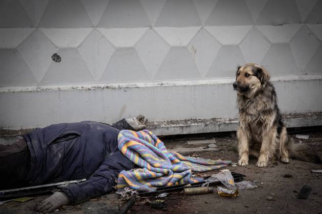 Ukraine-Krieg, Jahrestag der Invasion, Chronologie der Ereignisse, Archivbilder Ukraine-Konflikt, Eindrücke aus Butscha The dead body of a killed civilian, next to which his dog is still waiting, the town of Bucha, 4.4.2022 (CTKxPhoto VojtechxDarvikxMaca) CTKPhotoF202204050075501