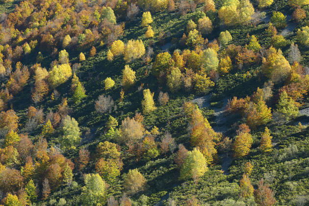 Autumn atmosphere in Picos de Europa national park, Spain, Cantabria, Picos de Europa national park Autumn in Picos de Europa national park, Spain, Cantabria, Picos De Europa national park BLWS665875 Copyright: xblickwinkel W.xPattynx