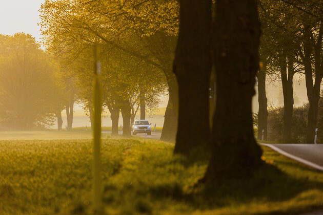 A car drives over a country road in the morning light in Glasewitz, 05 05 2022 Glasewitz Germany Copyright: xFlorianxGaertner photothek.dex