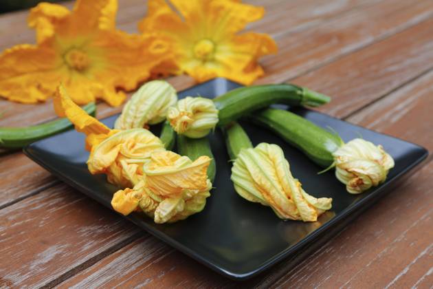 Süddeutsche Kitchen, Freshness Zucchini flowers with Zucchini Cucurbita Pepo Var giromontiina at Plate, vegetarian, Healthy Kitchen, Cook, Vegetables, Germany, Europe Copyright: imageBROKER KatharinaxHild ibxkah07209623.jpg