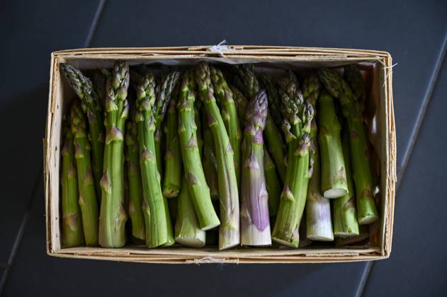 Art Culture Architecture Travel 11 06 2022 Beelitz town in the district of Potsdam Mittelmark Brandenburg Green Beelitz asparagus Freshly harvested Latin Asparagus to end is the asparagus season traditionally on 24 June Beelitz brandenburg Germany