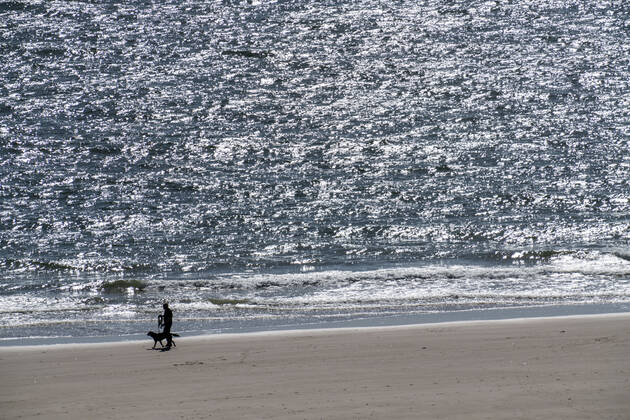 Stroller on the beach near Zoutelande province Zeeland, peninsula Walcheren, Netherlands, beach Zeeland
