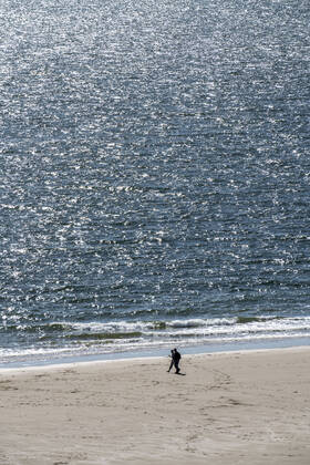 Stroller on the beach near Zoutelande province Zeeland, peninsula Walcheren, Netherlands, beach Zeeland